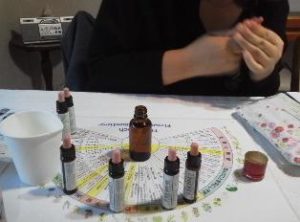 フラワーエッセンスのコンサルテーション(料金・効果・好転反応)について