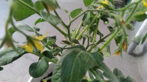 会いたかった人に会えた日