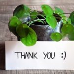 2020年ありがとうございました!2021年が素敵な年になりますように。