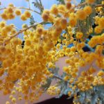 過去と今が交錯して新しい未来へむかう