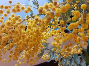 過去と今が交錯して新しい未来へむかう