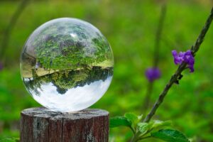 イランイランの官能的なエッセンシャルオイルで大人の夏を満喫!