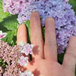 サトルヒーリングとフラワーエッセンスで癒やしの時間が癒され時間に