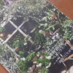 【2022年夏(7月8月9月)】九星気学別アロマ開運レシピ＠AEAJ会報誌より