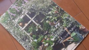 【2022年夏(7月8月9月)】九星気学別アロマ開運レシピ＠AEAJ会報誌より