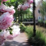 人生でやりたいことや願い事を100個書き出すことの本当の意味と目的