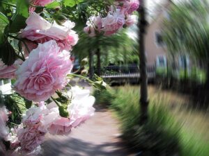 人生でやりたいことや願い事を100個書き出すことの本当の意味と目的