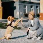 「すべてが上手くいったらどうしよう」という根拠のないワクワクを愉しむ
