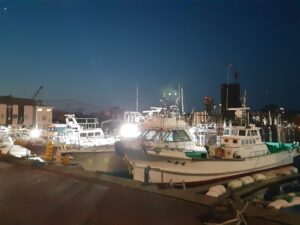 アーシングをしに夜明け前の海へ!夏休みのある日の出来事