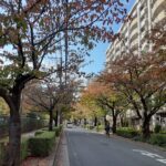 Me time(ミータイム)わたしのひとり時間!2023年最後のテーマ