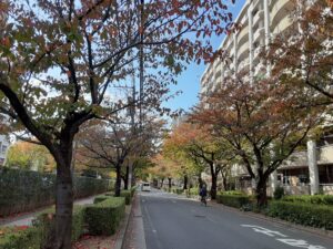 Me time(ミータイム)わたしのひとり時間!2023年最後のテーマ