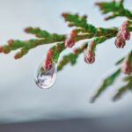 嫉妬の反対側にあるものは◯◯だった！あさぎさん経由のバシャールセミナーシェア話